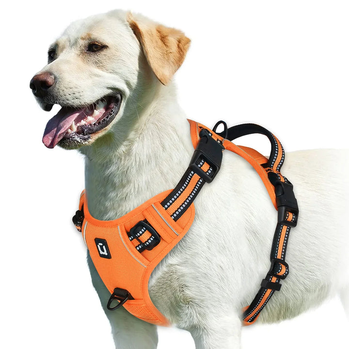 GentleStep | Adjustable Dog Harness for Comfort