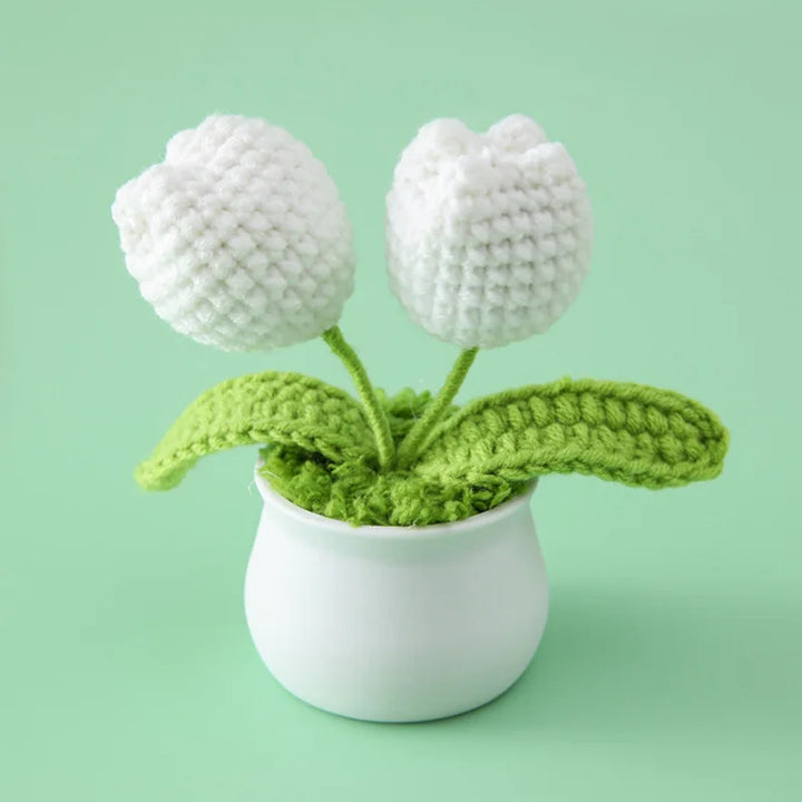 WoolFlower | Decorative Potted Plant