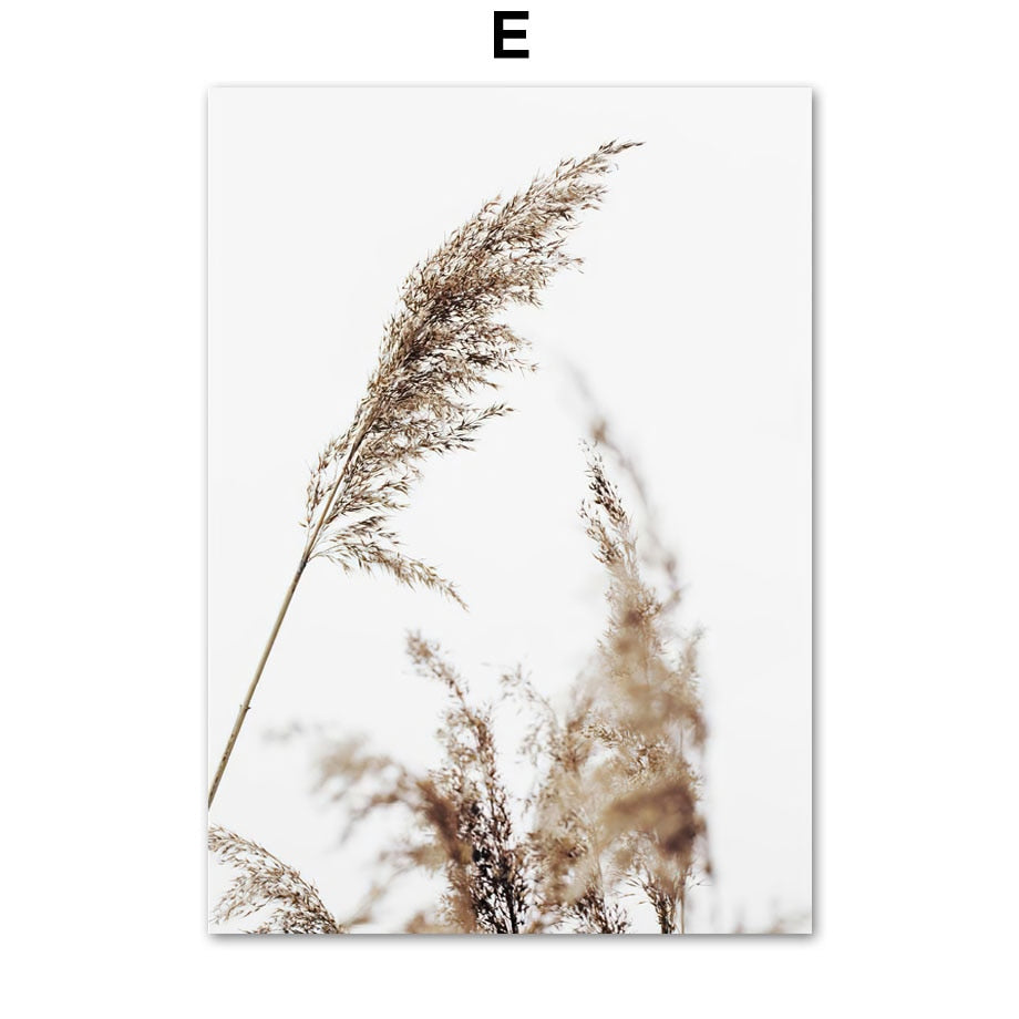 NaturaTone – Canvas Prints in Neutral Natural Tones for Stylish Interiors