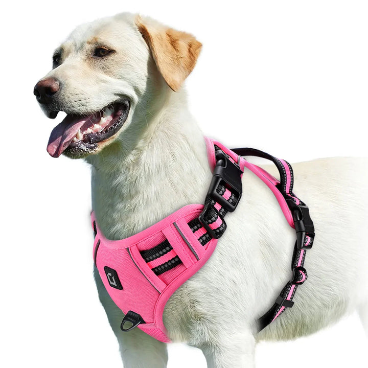 GentleStep | Adjustable Dog Harness for Comfort