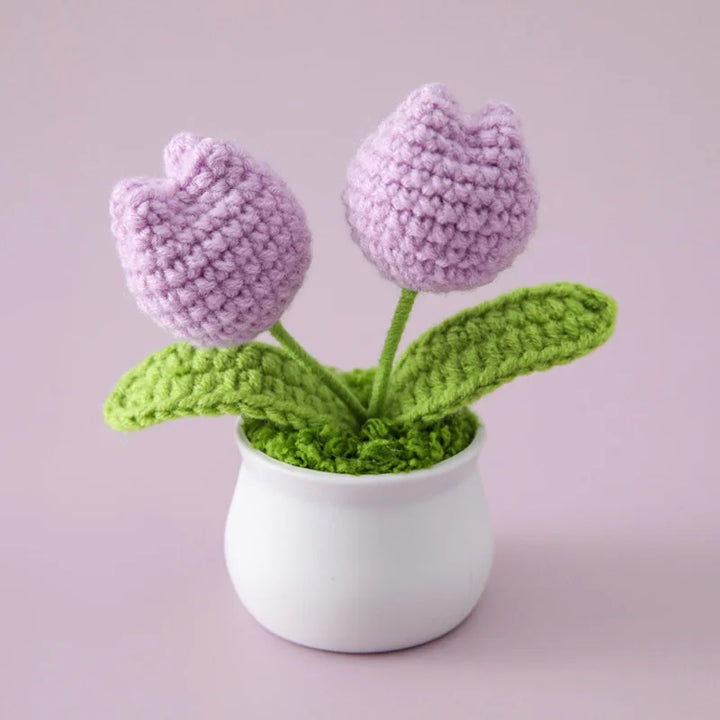 WoolFlower | Decorative Potted Plant
