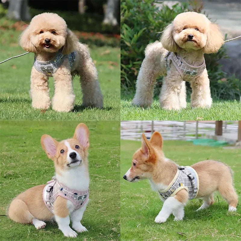 ReflectoPawVest | Ademend Reflective Harness