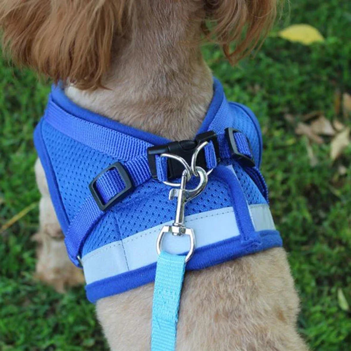 SnugWalk | Mesh Harness and Leash for Comfortable Walks