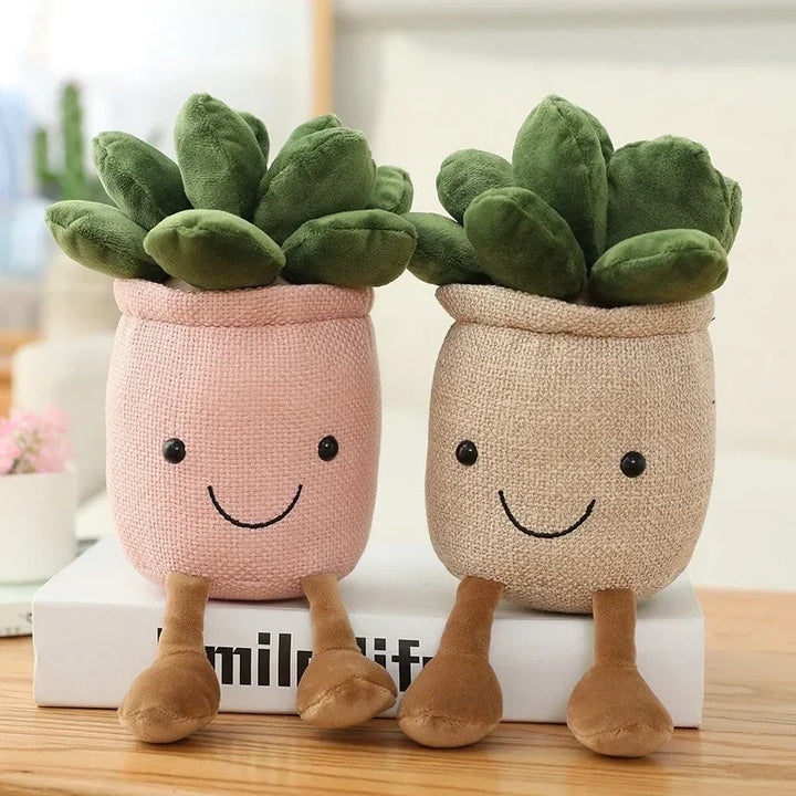 PlantPals | Creative Plant Cuddle