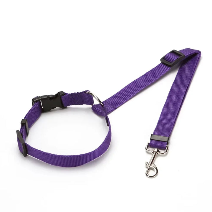 CarSecure | Adjustable Nylon Dog Seat Belt & Harness
