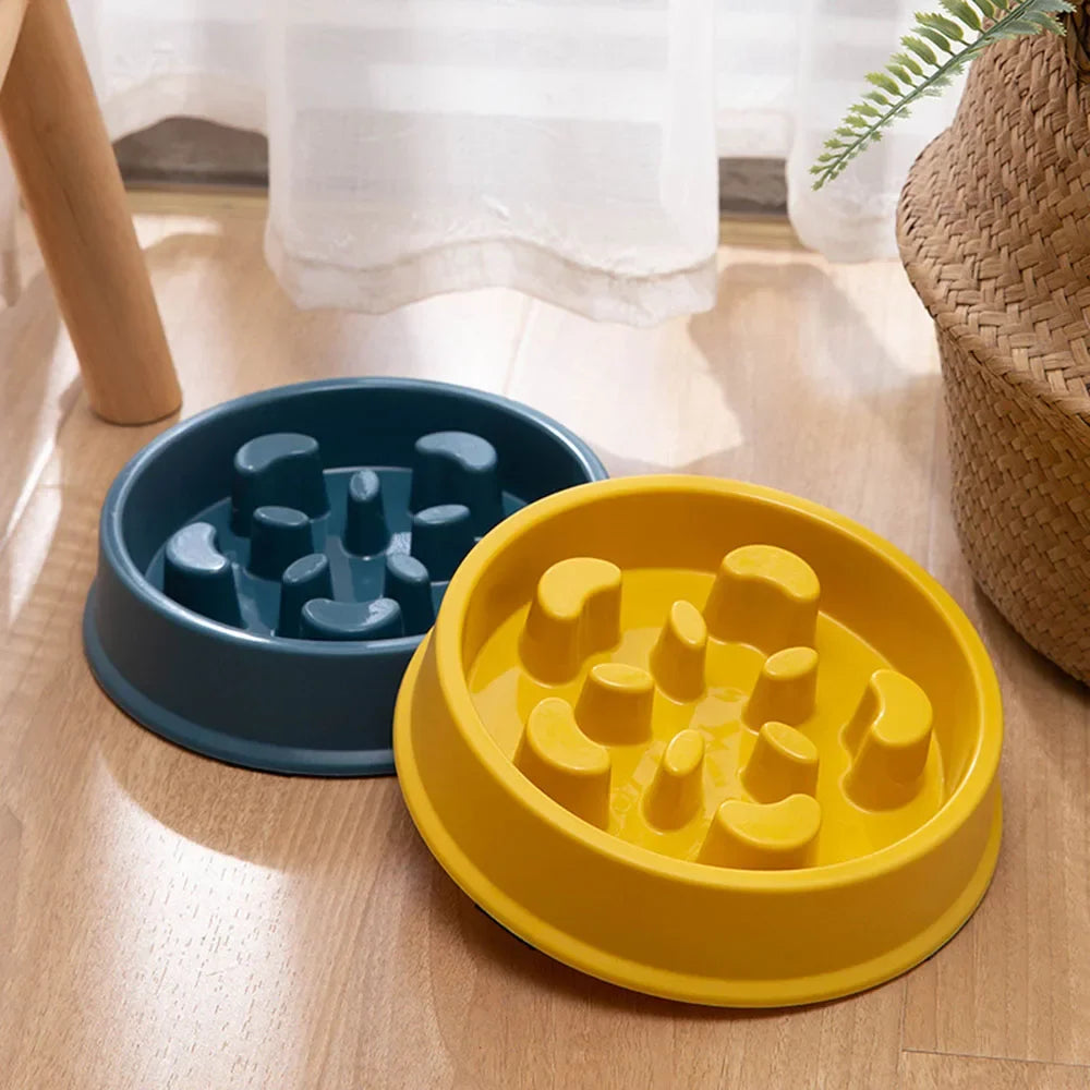 ChokeGuard | Anti-Choking Slow Feeder Bowl