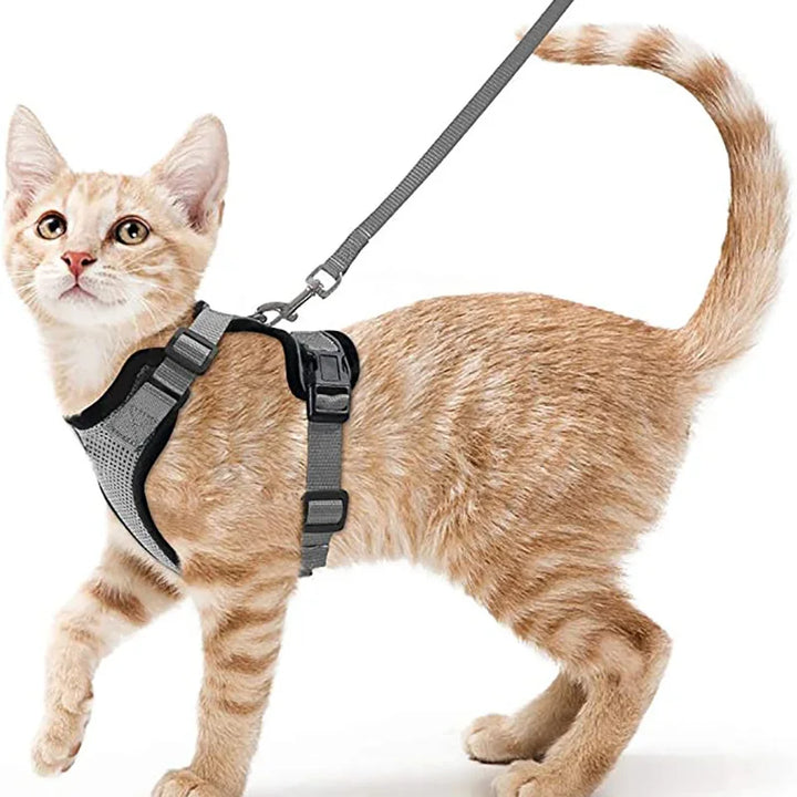 CatVoyage | Soft and Safe Walking Harness