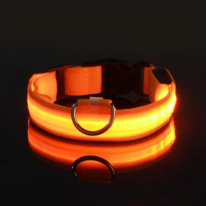 GlowPaws | LED Flashing Dog Collar for Night Safety