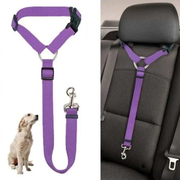 CarSecure | Adjustable Nylon Dog Seat Belt & Harness