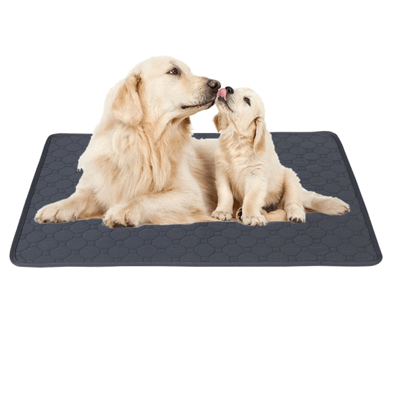 PipiFriend | Washable Training Mat for Dogs