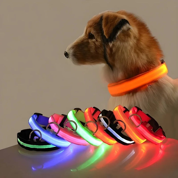 GlowPaws | LED Flashing Dog Collar for Night Safety