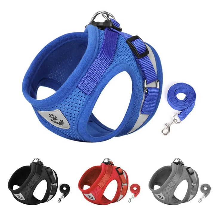 PurrStrap | Adjustable Harness for Cats with Reflection