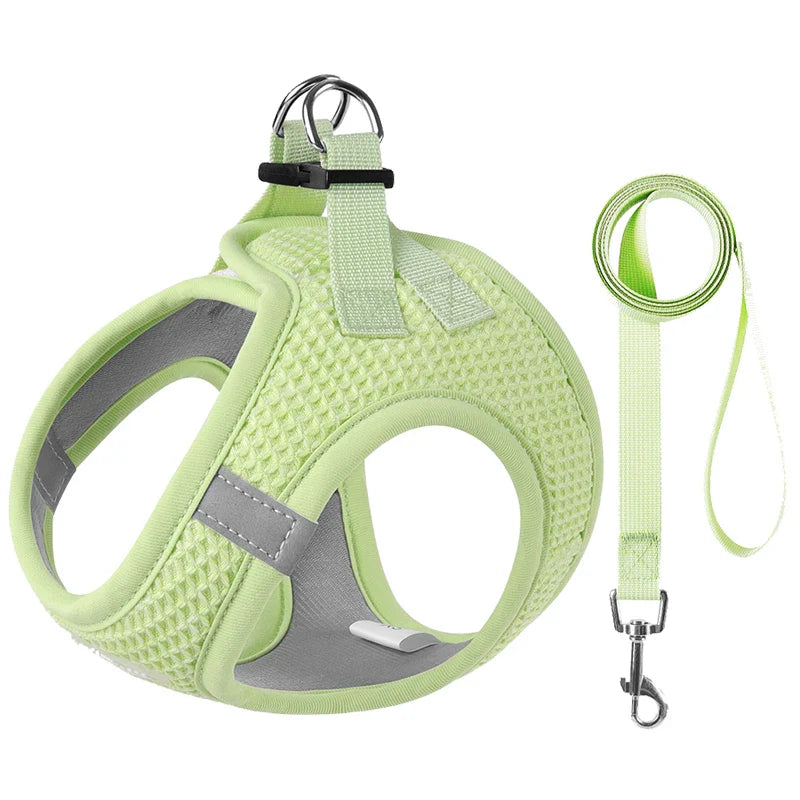 PawStrideFit | Reflective Harness & Leash for Pets