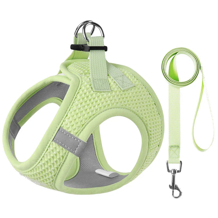 PawStrideFit | Reflective Harness & Leash for Pets