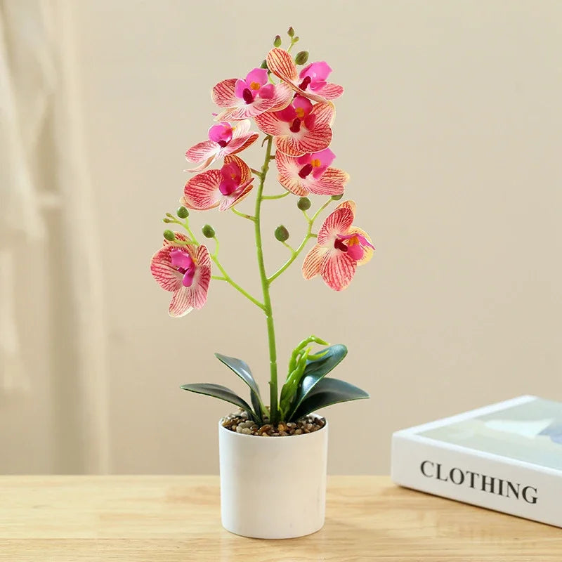 BonsaiBloom | Elegant Artificial Orchids