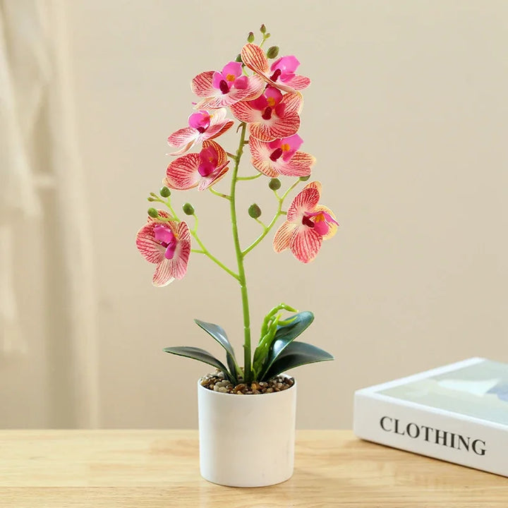 BonsaiBloom | Elegant Artificial Orchids