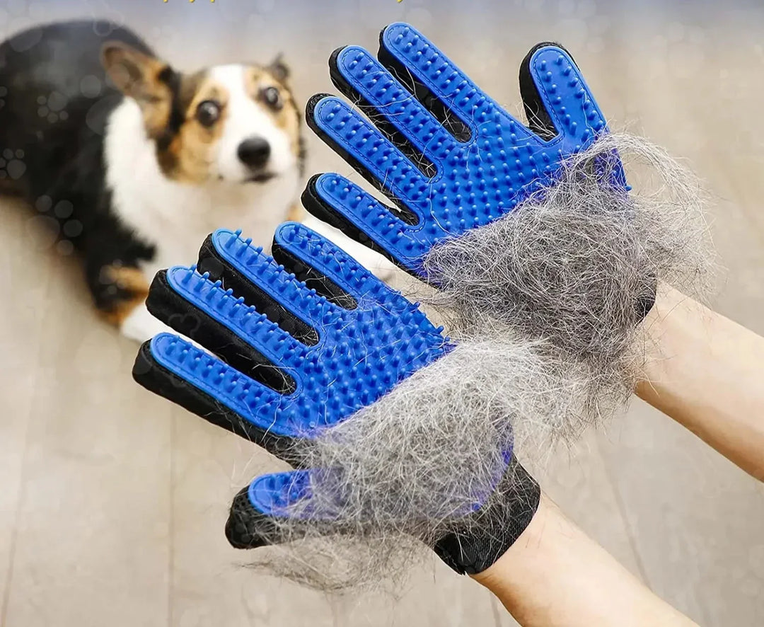PawGlove | Pet Hair Grooming Glove