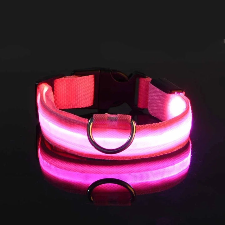 GlowPaws | LED Flashing Dog Collar for Night Safety