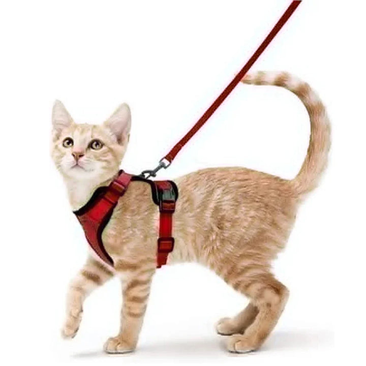 CatVoyage | Soft and Safe Walking Harness