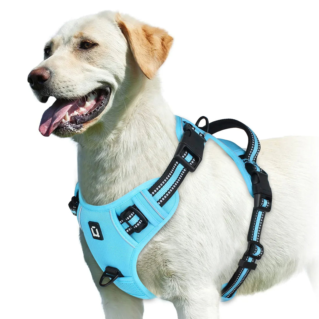 GentleStep | Adjustable Dog Harness for Comfort