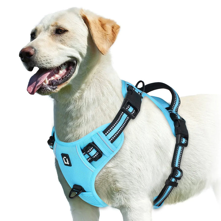 GentleStep | Adjustable Dog Harness for Comfort