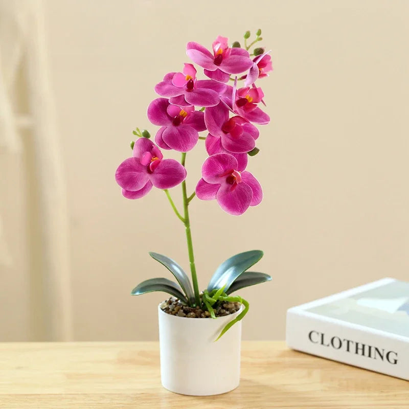 BonsaiBloom | Elegant Artificial Orchids