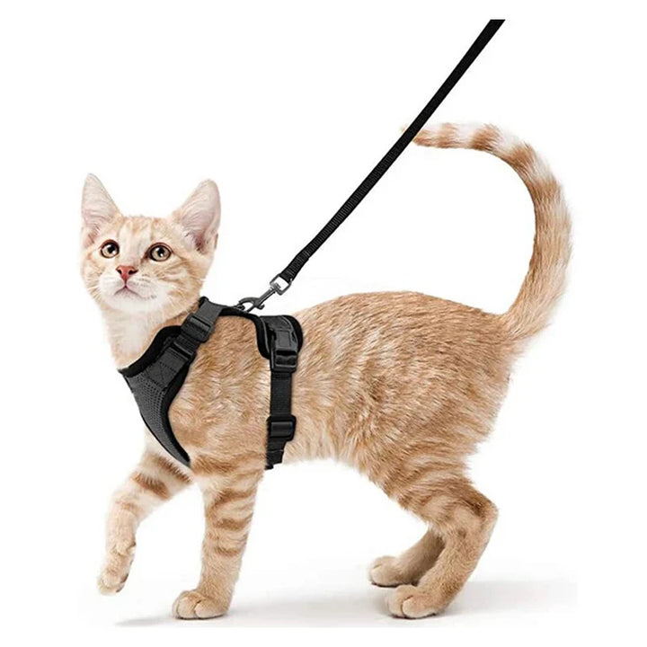 CatVoyage | Soft and Safe Walking Harness
