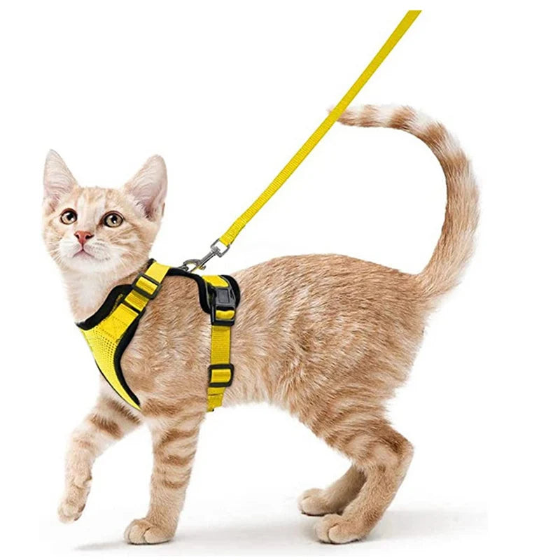 CatVoyage | Soft and Safe Walking Harness
