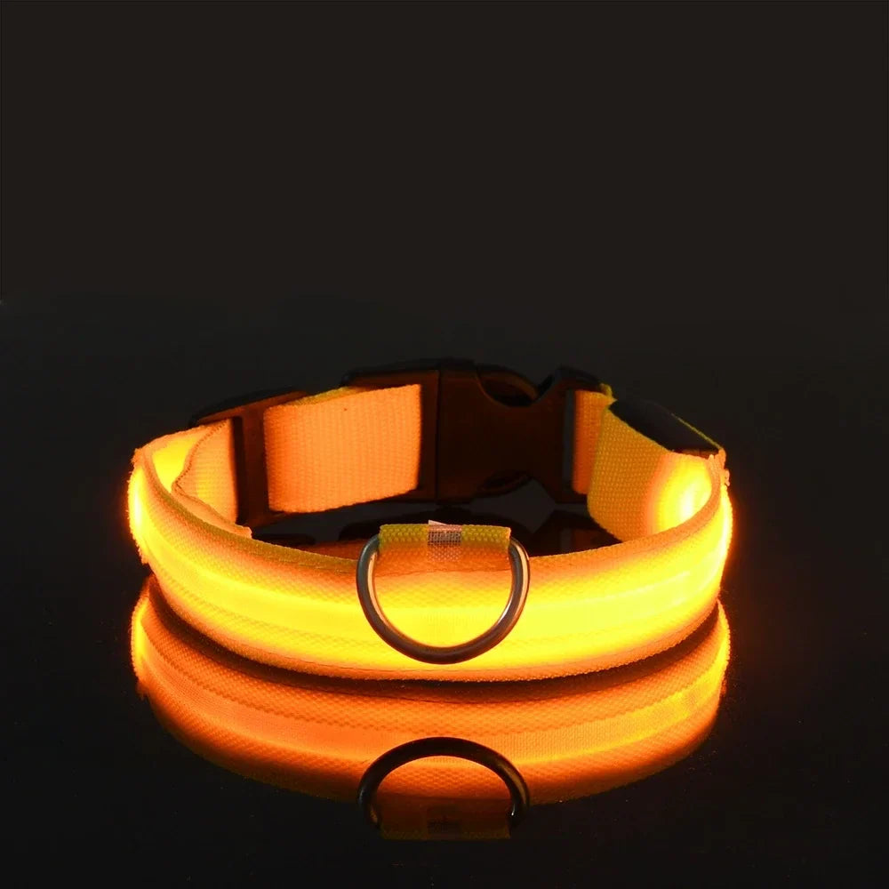 GlowPaws | LED Flashing Dog Collar for Night Safety