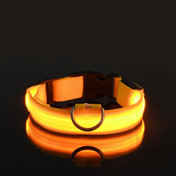 GlowPaws | LED Flashing Dog Collar for Night Safety