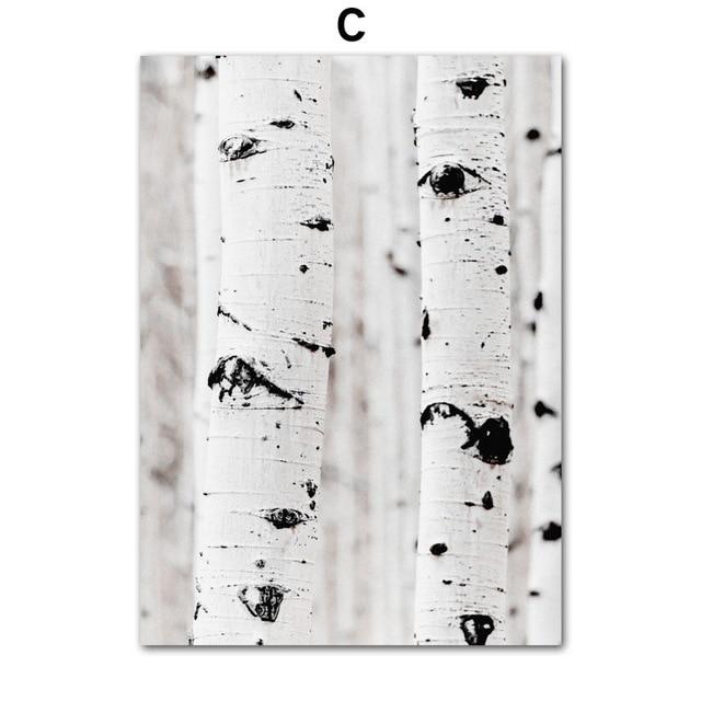 DuneSeren – Calming Print Collection with Dune Landscapes