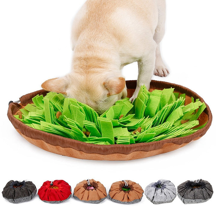 FoodPlay | Stimulating Feeding Mat for Dogs