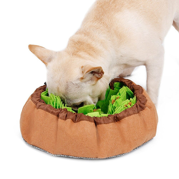 FoodPlay | Stimulating Feeding Mat for Dogs