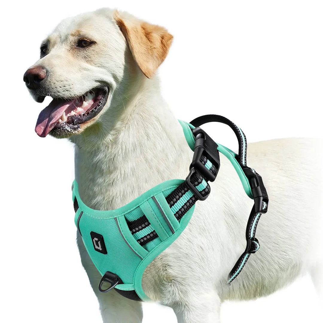 GentleStep | Adjustable Dog Harness for Comfort