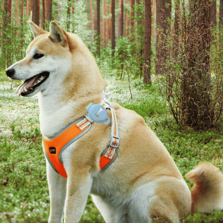 FurryFinder | Always Keep Track of Your Pet