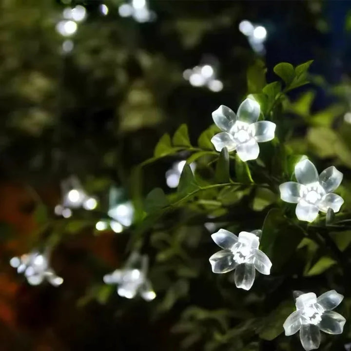 FloralGlow | Solar Garden Light in Beautiful Flower Shape