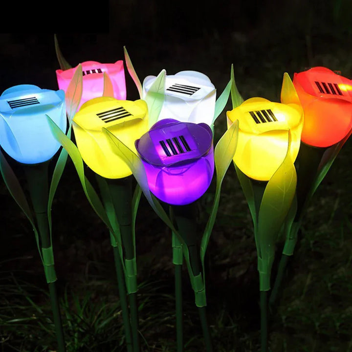 TulipShin | Solar-Powered Garden Lamps