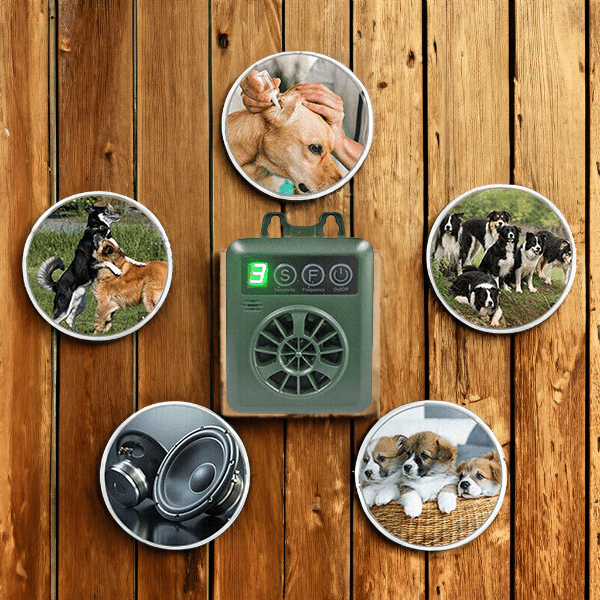 SoftSound | Safe Anti-Bark System