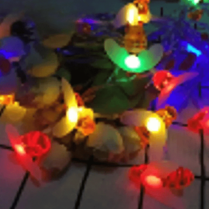 EcoHavenLights | Sustainable Sparkle Outdoors