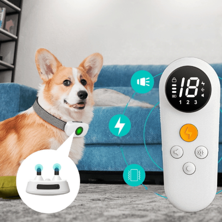 BarkGuardian | Ultimate Anti-Bark Device