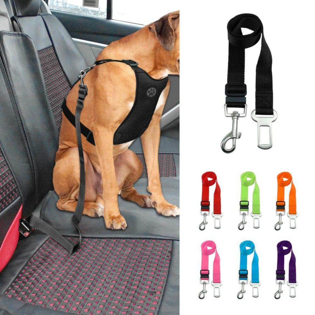 Adjustable Dog Safety Belt - Rotating Click Closure and Comfortable Fit - Safe Ride