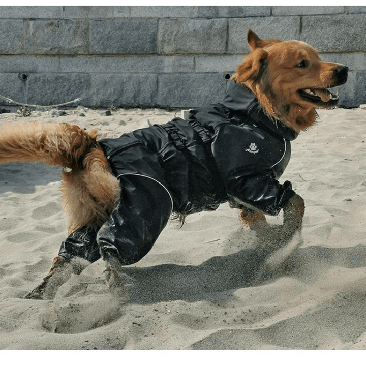 AdventurePaws | Reliable Protection for Pet Adventures