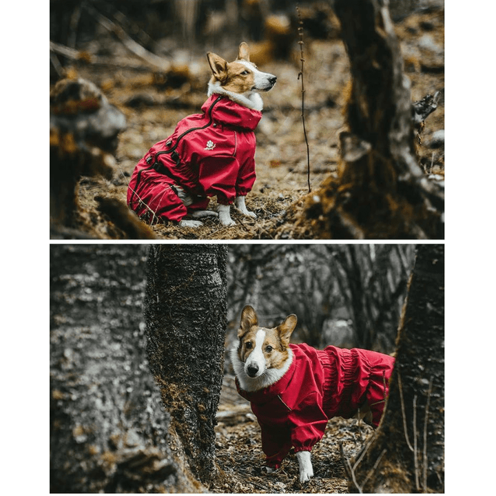 AdventurePaws | Reliable Protection for Pet Adventures