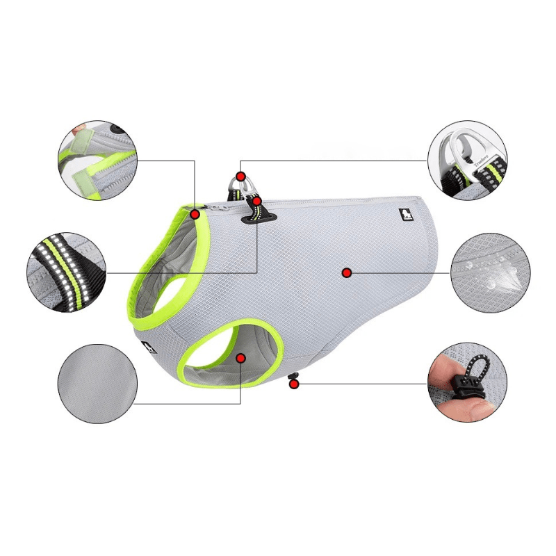 FurThermo | Reliable Temperature Measurement for Your Pet