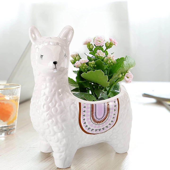 LlamaLeaf – Ceramic Pots with Alpaca Design