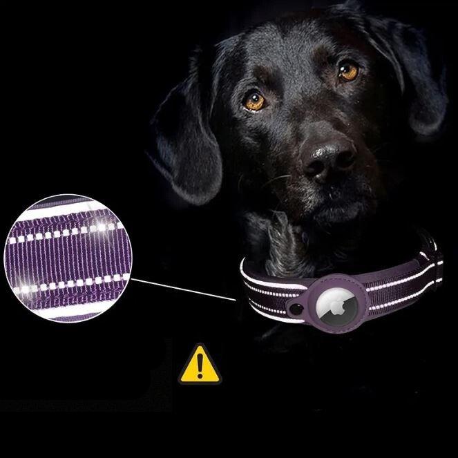 TrackMate | Safe Collar for Pets