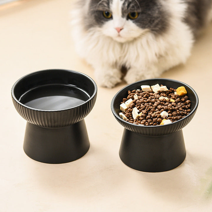ComfortBowl | Tilted Pet Food Bowl