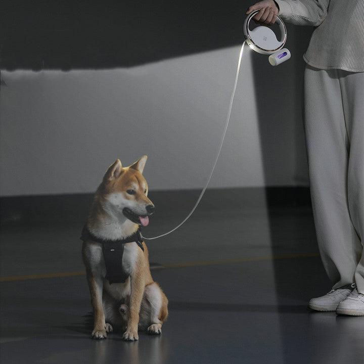 LeashLite | USB Rechargeable Leash for Dog Owners