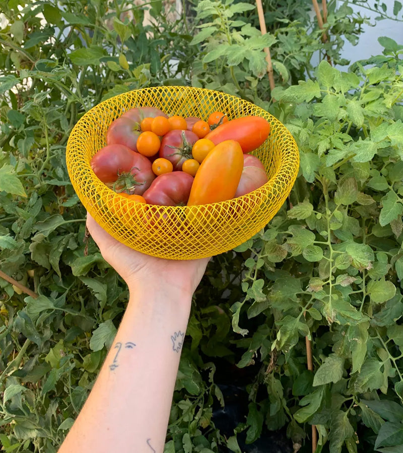 ElegantMesh | Double-Walled Steel Fruit Basket for Ventilation and Style