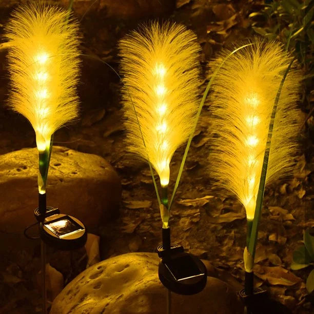 EcoGlow | Solar Garden Lighting